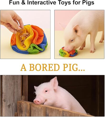 كرة الشم للخنازير - ألعاب إثراء الخنازير للخنازير الصغيرة والخنازير ذات البطون واستخدام المزرعة - لعبة تفاعلية للبحث عن الطعام والتأصيل، ملحقات ألعاب الخنازير ذات التغذية البطيئة in Kuwait