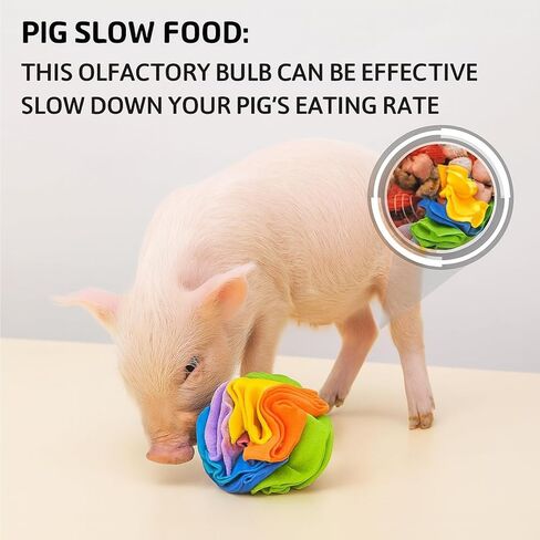 كرة الشم للخنازير - ألعاب إثراء الخنازير للخنازير الصغيرة والخنازير ذات البطون واستخدام المزرعة - لعبة تفاعلية للبحث عن الطعام والتأصيل، ملحقات ألعاب الخنازير ذات التغذية البطيئة in Kuwait