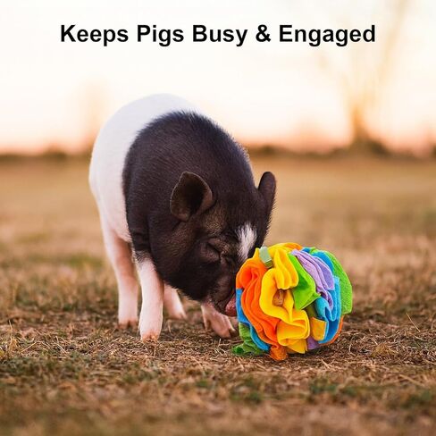 كرة الشم للخنازير - ألعاب إثراء الخنازير للخنازير الصغيرة والخنازير ذات البطون واستخدام المزرعة - لعبة تفاعلية للبحث عن الطعام والتأصيل، ملحقات ألعاب الخنازير ذات التغذية البطيئة in Kuwait