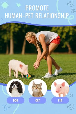 كرة الشم للخنازير - ألعاب إثراء الخنازير للخنازير الصغيرة والخنازير ذات البطون واستخدام المزرعة - لعبة تفاعلية للبحث عن الطعام والتأصيل، ملحقات ألعاب الخنازير ذات التغذية البطيئة in Kuwait