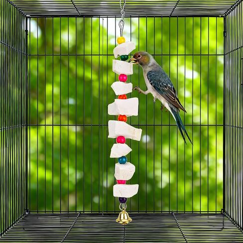 2pcs Bird Chew Toys with Calcium Cuttlebone Cuttlefish & Beak Grinding Stone, Natural Perch Cage Accessories for Parakeets, Budgies, Cockatiels Conure Parrot Lovebirds & Small to Medium Birds in Saudi Arabia
