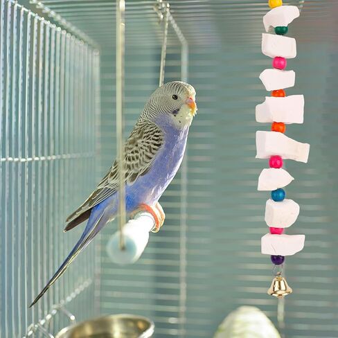 2pcs Bird Chew Toys with Calcium Cuttlebone Cuttlefish & Beak Grinding Stone, Natural Perch Cage Accessories for Parakeets, Budgies, Cockatiels Conure Parrot Lovebirds & Small to Medium Birds in Saudi Arabia