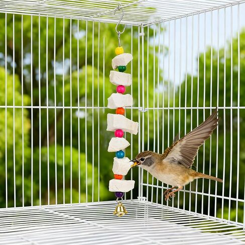 2pcs Bird Chew Toys with Calcium Cuttlebone Cuttlefish & Beak Grinding Stone, Natural Perch Cage Accessories for Parakeets, Budgies, Cockatiels Conure Parrot Lovebirds & Small to Medium Birds in Saudi Arabia