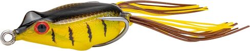 Strike King (SFKVD-47 KVD Sexy Frog Fishing Lure, 47 - Green Pumpkin Pearl Belly, 5/8 oz, Sealed Nose in Kuwait