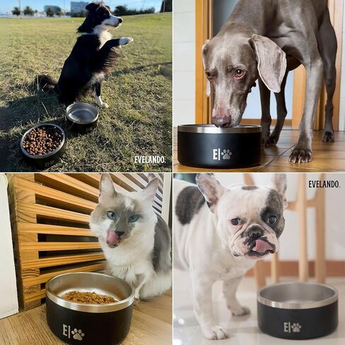 EVELANDO® 64 oz - 8 Cups Stainless Steel Dog Bowl – Triple-Insulated Pet Dish Keeps Water Cold & Food Warm – BPA-Free, Non-Slip Base – Durable & Elegant Feeding Bowl for Small & Medium Dogs & Cats in Saudi Arabia
