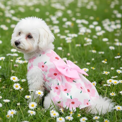 Dog Floral Dress, Cute Dog Dresses with Pink Bow, Pet Princess Dresses, Pink Floral Dogs Cat Clothes, Spring Summer Pet Clothes for Chihuahua, Yorkie, Puppy and Small Cats (XS Size) in Saudi Arabia