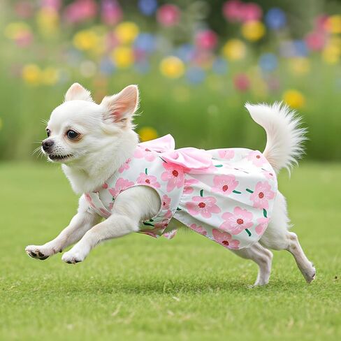 Dog Floral Dress, Cute Dog Dresses with Pink Bow, Pet Princess Dresses, Pink Floral Dogs Cat Clothes, Spring Summer Pet Clothes for Chihuahua, Yorkie, Puppy and Small Cats (XS Size) in Saudi Arabia