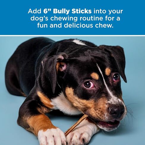 Best Bully Sticks 6 Inch Bully Sticks - 25 Count (Pack of 1) - Natural, Easily Digestible, 100% Grass-Fed, Grain and Rawhide Free in Kuwait