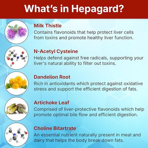 Hepagard - Natural Liver Support Supplement Capsule with N-Acetyl Cysteine (NAC) - Non-GMO, Gluten-Free in Saudi Arabia