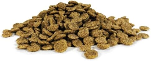 Manna Pro Duck Discs, Floating Duck Treats with 10% Protein, Made with Black Soldier Fly Larvae, Kelp & Alfalfa, Treats for Ducks & Waterfowl, 16 oz in Saudi Arabia