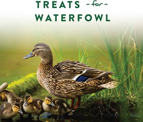 Manna Pro Duck Discs, Floating Duck Treats with 10% Protein, Made with Black Soldier Fly Larvae, Kelp & Alfalfa, Treats for Ducks & Waterfowl, 16 oz in Saudi Arabia