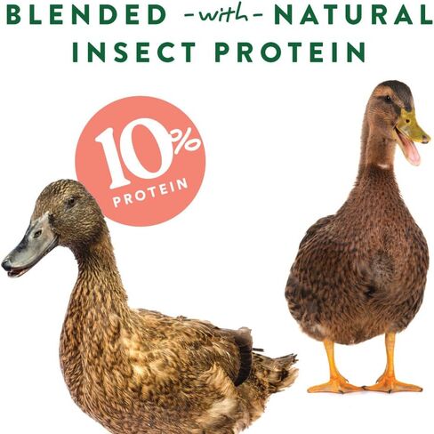 Manna Pro Duck Discs, Floating Duck Treats with 10% Protein, Made with Black Soldier Fly Larvae, Kelp & Alfalfa, Treats for Ducks & Waterfowl, 16 oz in Saudi Arabia