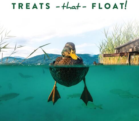 Manna Pro Duck Discs, Floating Duck Treats with 10% Protein, Made with Black Soldier Fly Larvae, Kelp & Alfalfa, Treats for Ducks & Waterfowl, 16 oz in Saudi Arabia