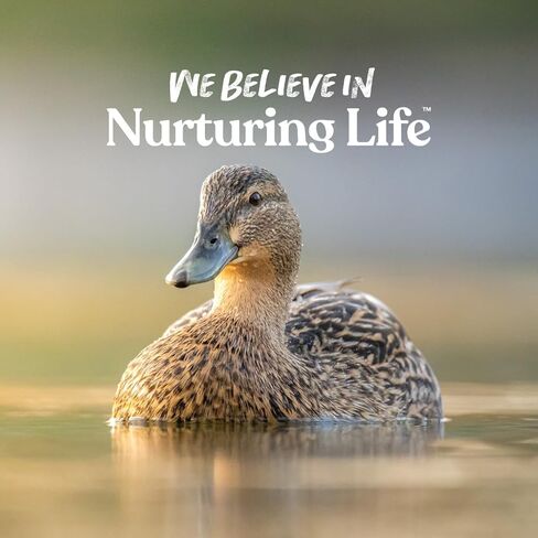 Manna Pro Duck Discs, Floating Duck Treats with 10% Protein, Made with Black Soldier Fly Larvae, Kelp & Alfalfa, Treats for Ducks & Waterfowl, 16 oz in Saudi Arabia