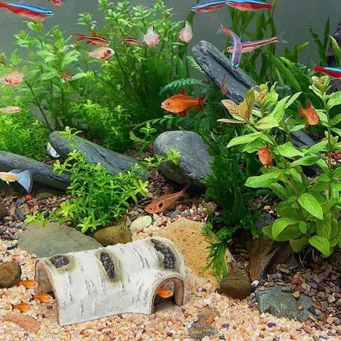 مأوى للزواحف مصنوع من خشب البتولا الاصطناعي، غطاء زواحف ذو مظهر طبيعي للتنين الملتحي، مخبأ خشبي مجوف من الراتنج الواقعي، ديكور لحاء الراتنج لحوض السمك in Saudi Arabia