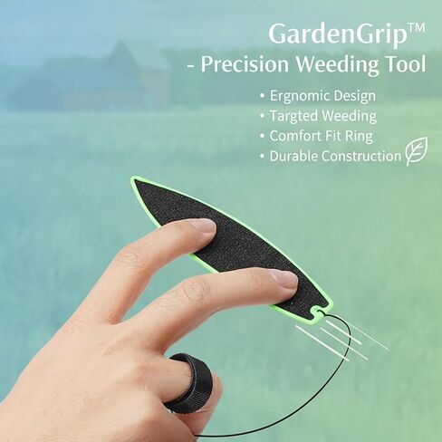 لوح تزلج على الماء مكون من 11 قطعة، ألواح تزلج صغيرة للأصابع مع حقيبة تخزين، ألواح تزلج بلاستيكية متعددة الألوان لمتعة سطح المكتب، وتخفيف التوتر في المكتب واللعب الإبداعي، والسفر المحمول in Kuwait