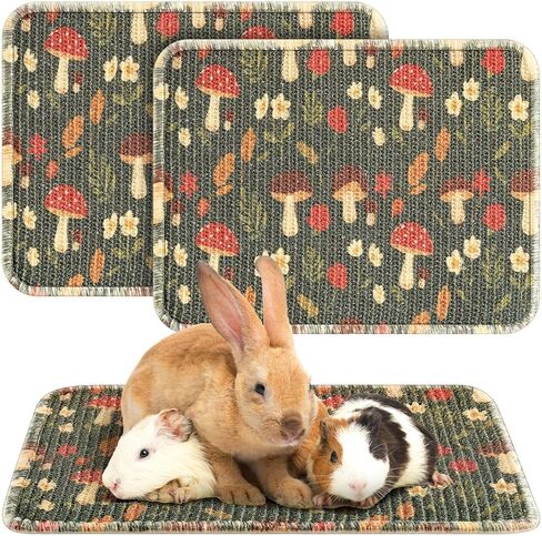 2 Pcs 16 x 12''Rabbit Scratch Mat Natural Bunny Scratching Pad Claws and Teeth Care Rabbit Mats for Cages Chew Toys Bunny Pet Cage Bedding for Biting Sleeping Nesting in Saudi Arabia