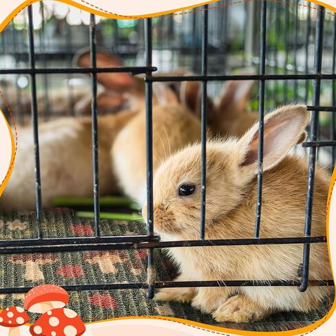 2 Pcs 16 x 12''Rabbit Scratch Mat Natural Bunny Scratching Pad Claws and Teeth Care Rabbit Mats for Cages Chew Toys Bunny Pet Cage Bedding for Biting Sleeping Nesting in Saudi Arabia