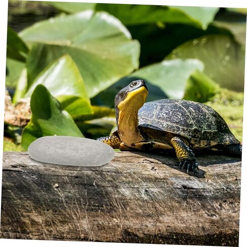 BESPORTBLE Natural Turtle Basking Platform Stones 3pcs Flat Reptile Climbing Ramps for Turtle Tanks Deep Water Fish Tank Decoration for Tortoise Resting and Aquatic Habitat Random Color in Saudi Arabia