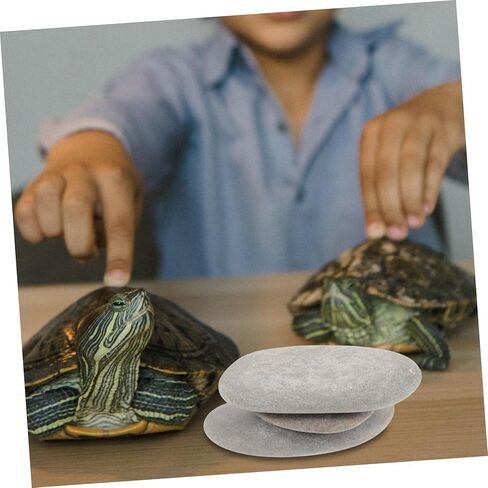 BESPORTBLE Natural Turtle Basking Platform Stones 3pcs Flat Reptile Climbing Ramps for Turtle Tanks Deep Water Fish Tank Decoration for Tortoise Resting and Aquatic Habitat Random Color in Saudi Arabia