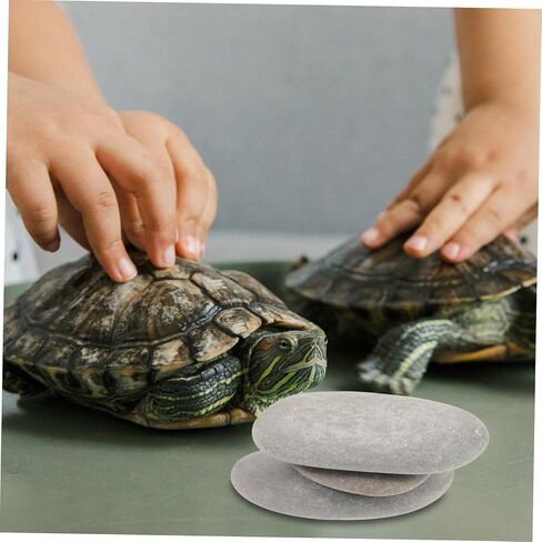 BESPORTBLE Natural Turtle Basking Platform Stones 3pcs Flat Reptile Climbing Ramps for Turtle Tanks Deep Water Fish Tank Decoration for Tortoise Resting and Aquatic Habitat Random Color in Saudi Arabia