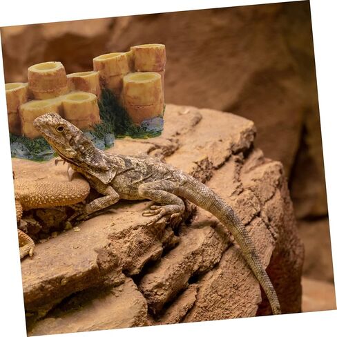 BESPORTBLE Turtle Tank Basking Platform Reptile Accessories Resin Stump Lizard Climbing Area in Saudi Arabia
