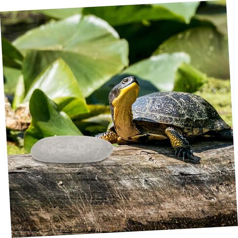 TOYANDONA 3pcs Reptile Basking Stones for Turtle Tanks Natural Platform for Turtles and Reptiles for Aquariums and Terrariums Random Colors in Saudi Arabia