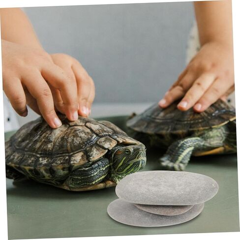 TOYANDONA 3pcs Reptile Basking Stones for Turtle Tanks Natural Platform for Turtles and Reptiles for Aquariums and Terrariums Random Colors in Saudi Arabia