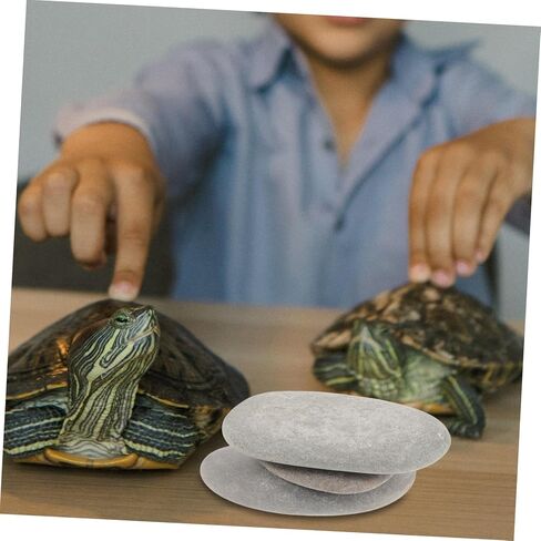 TOYANDONA 3pcs Reptile Basking Stones for Turtle Tanks Natural Platform for Turtles and Reptiles for Aquariums and Terrariums Random Colors in Saudi Arabia