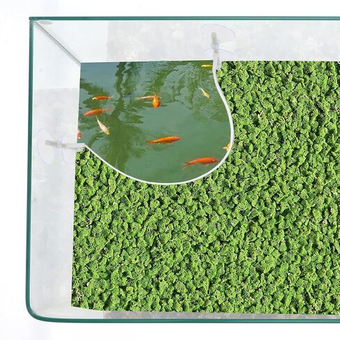 Aquarium Floating Plant Corral, Floating Plant Fence for Aquarium with Suction Cups, Aquarium Floating Plant Fence for Fish Tank and Aquarium, 35.43", 1 Set in Saudi Arabia