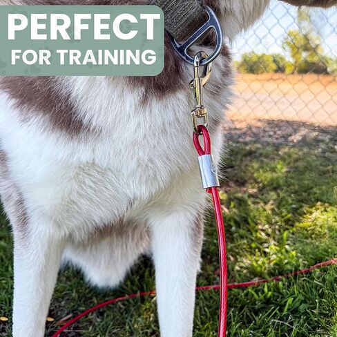 Chew-Proof Red Dog Leash – 10ft Steel Cable Tie-Out for Yard or Camping – Heavy Duty for Small to Large Dogs in Saudi Arabia