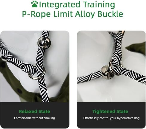 مقود تدريب مارشال 2 في 1 مانع للسحب، مقود منزلق للكلاب، حبل عاكس عالي التحمل بطول 5 أقدام للسلالات الصغيرة والمتوسطة والكبيرة (أخضر) in Kuwait