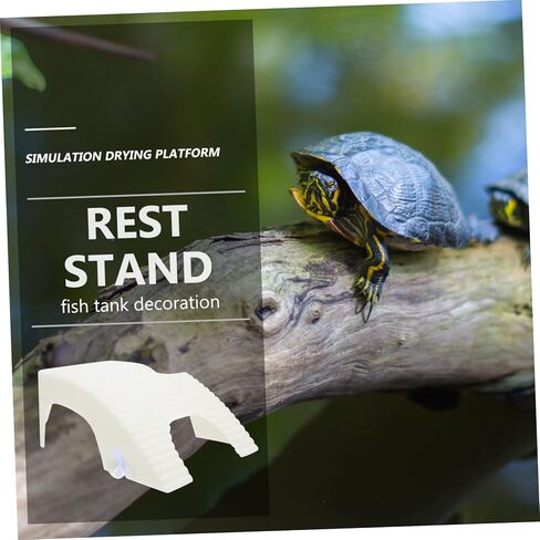 BESPORTBLE Turtle Sunbathing Platform Reptile Accessory Tortoise Climbing Rock Healthy Exercise in Saudi Arabia