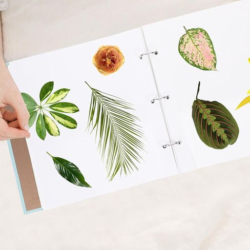 Tofficu Flower Preservation Books Pressed Flower Log Book, Paper Botanical Album for Wedding Keepsakes, Scrapbooking, Floral Crafts Specimen Storage, Loose-leaf Design for Home, School, Studio in Saudi Arabia