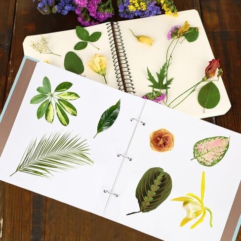 Tofficu Flower Preservation Books Pressed Flower Log Book, Paper Botanical Album for Wedding Keepsakes, Scrapbooking, Floral Crafts Specimen Storage, Loose-leaf Design for Home, School, Studio in Saudi Arabia