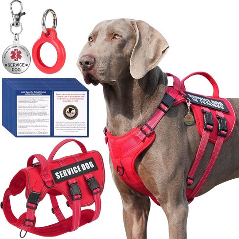 Service Dog Harness + ID Tag 50 ADA Information Cards - No Pull Dog Vest 10 PCS Removable Patches - Reflective Emotional Support Animal Vest for Large Dogs - Adjustable Breathable ESA Training Vest in Saudi Arabia