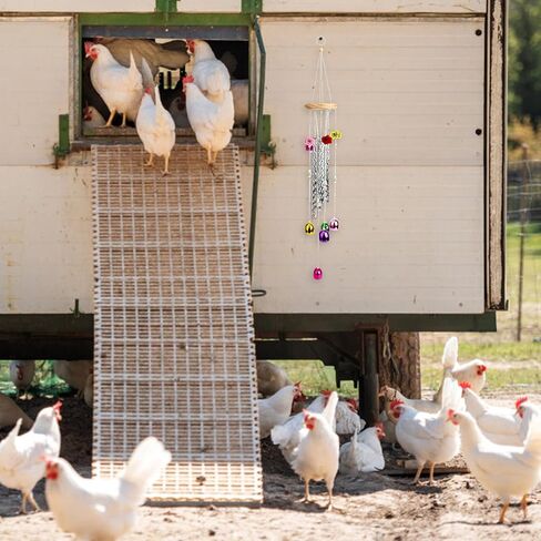 ألعاب الدجاج للحظيرة، دقات الرياح الغنية، ألعاب الدجاج التفاعلية، ملحقات حظيرة اللعب الفنية، ديكور معلق للدجاج، الطيور، الببغاء، طيور الحب in Kuwait