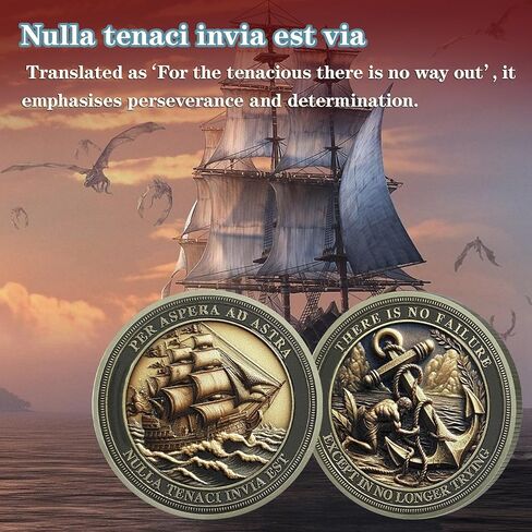 Sailing Anchor Inspirational Challenge Coin, Encouragement Pocket Token for Resilience, and Courage Appreciation Gift for Friends and Family in Saudi Arabia
