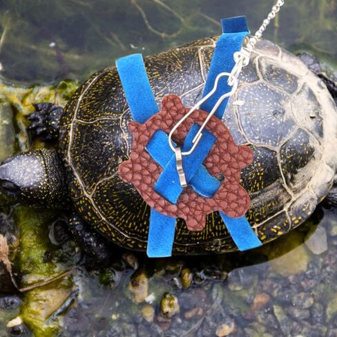 NUOBESTY Turtle Walking Leash Small Size Silent Blue Pet Tortoise Harness Training Rope Outdoor Control for Small Reptiles in Saudi Arabia
