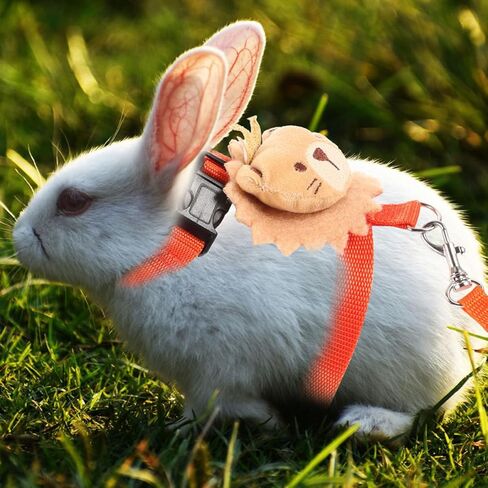 minkissy Rabbit Traction Leash and Harness Set 2 Pieces, Anti-Escape Adjustable Bunny Walking Rope for Dwarf Rabbits, Portable Small Pet Leash for Outdoor Use in Saudi Arabia