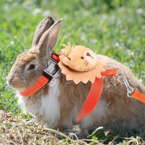 minkissy Rabbit Traction Leash and Harness Set 2 Pieces, Anti-Escape Adjustable Bunny Walking Rope for Dwarf Rabbits, Portable Small Pet Leash for Outdoor Use in Saudi Arabia