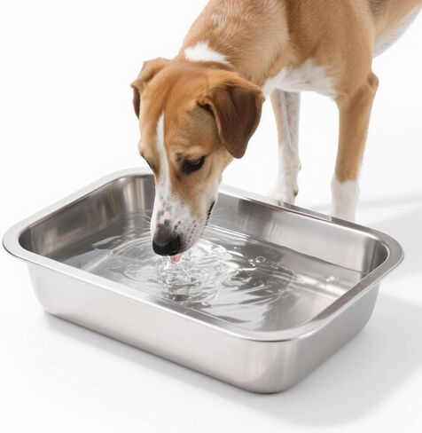 Stainless Steel Dog Bowls for Medium and Small Size Dogs, 0.85 Gallons Metal Dog Water Food Bowl Dish, Medium Capacity Pet Feeding Water Bowls, Pet Food Pans Plates for Dogs, Large Cats and Rabbits in Saudi Arabia