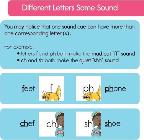 Bjorem Better Letters® ومجموعة بطاقات ABCs لفرقة لوري بيركنر، تعلم الحروف والأصوات مقترنة بأغاني لوري بيركنر الـ 6 أفضل الحروف، وأغاني الحروف الأبجدية التعليمية وبطاقات الفلاش in Kuwait