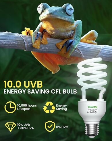 GlowUp UVA UVB Light Bulbs for Reptiles E26 Combo Pack 110V - 100W Reptile Heat Lamp Bulb + 26W 10.0 UVB Bulb Provide Heat, Light, D3 and UV for Bearded Dragon, Tortoise, Lizard in Saudi Arabia