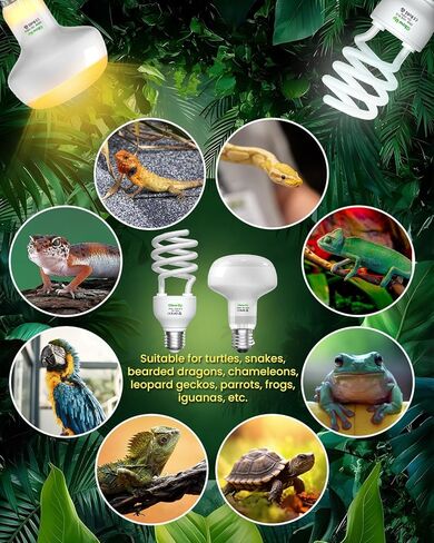 GlowUp UVA UVB Light Bulbs for Reptiles E26 Combo Pack 110V - 100W Reptile Heat Lamp Bulb + 26W 10.0 UVB Bulb Provide Heat, Light, D3 and UV for Bearded Dragon, Tortoise, Lizard in Saudi Arabia