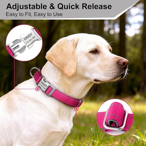 Personalized Dog Collars with Laser Engraved Name & Phone Number – Reflective Nylon Custom Pet Collar, Neoprene Padded, Adjustable for Small Medium Large Dogs with Quick Release Buckle in Kuwait