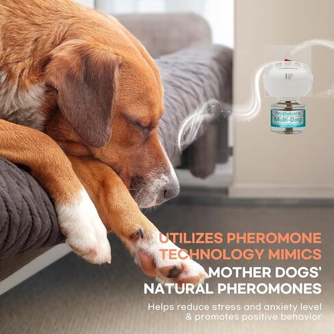 Dog Calming Pheromone Plug Diffuser: Dog Calming Pheromones Diffuser - Reduces Stress & Anxiety Calming Pheromone Diffuser for Dogs - Calm Dogs 60 Supply in Kuwait
