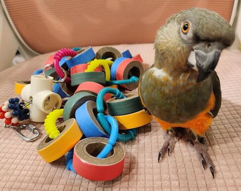 LWINGFLYER Bird Toys,Parrots Durable Cardboard Chewing Shredding Foraging for Medium & Large Parrot African Greys Cockatoos Amazons Mini Macaws in Saudi Arabia