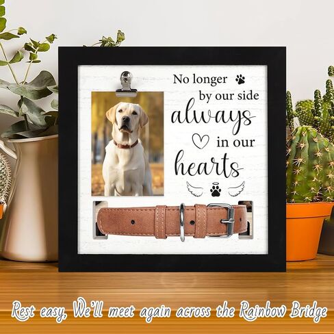Pet Memorial Gifts, Pet Remembrance Picture Frame for Loss of Dog, Memorial Frame with Collar Holder for Pet Passed Away Sympathy Gifts in Saudi Arabia