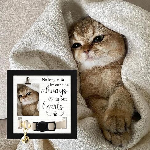 Pet Memorial Gifts, Pet Remembrance Picture Frame for Loss of Dog, Memorial Frame with Collar Holder for Pet Passed Away Sympathy Gifts in Saudi Arabia